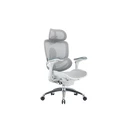 Sihoo Doro C300 Pro V2 Ergonomic Office Chair - Off White
