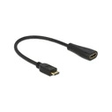 Αντάπτορας HDMI Delock Ethernet A -> mini C F/M 0.23m