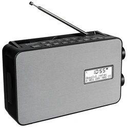 Φορητό Ραδιόφωνο Panasonic RF-D30BTEG black