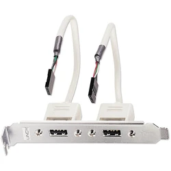 Contoller Lindy bracket USB 2x USB TYP A 5 IDC-coupling 0.2m