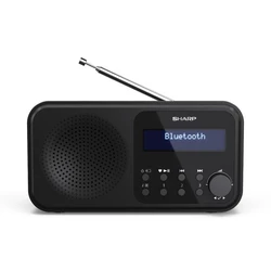 Φορητό Ραδιόφωνο Sharp DR-P420(BK) black