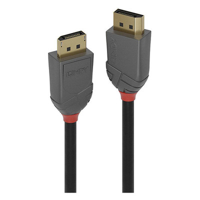 Product Καλώδιο DisplayPort Lindy Anthra Line 1m base image