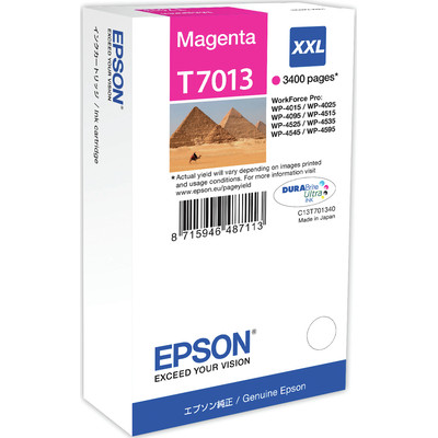 Product Μελάνι Epson T7013 - magenta XXL - Magenta base image