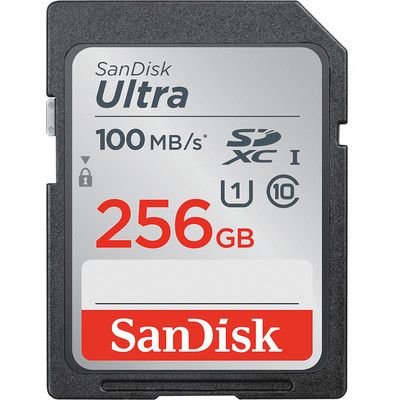 Product Κάρτα Μνήμης SDXC 256GB SanDisk Ultra Lite SDSDUNR-256G-GN3IN base image