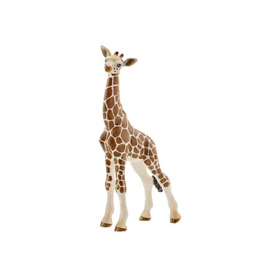 Product Φιγούρα Schleich Wild Life Baby Giraffe base image
