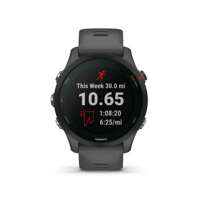 Product Smartwatch Garmin Forerunner 255 schist/black base image