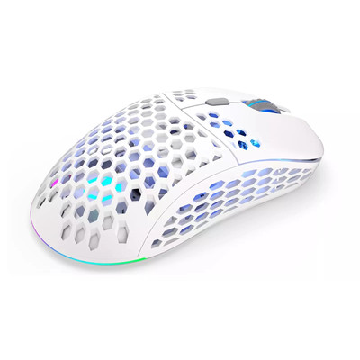 Product Ποντίκι Ασύρματο Endorfy LIX Plus - Onyx White base image