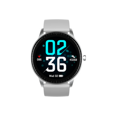 Product Smartwatch Denver SW-173 Grey base image