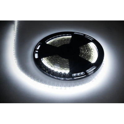 Product Ταινίας LED Rebel ψυχρό λευκό 12V 25m LED0172 base image
