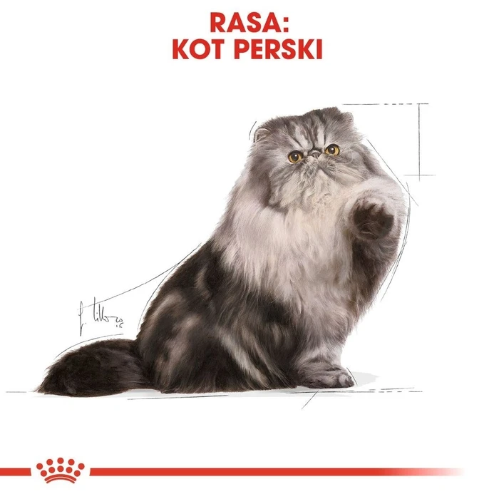 Ξηρά Τροφή Γάτας Royal Canin Persian Adult 2kg