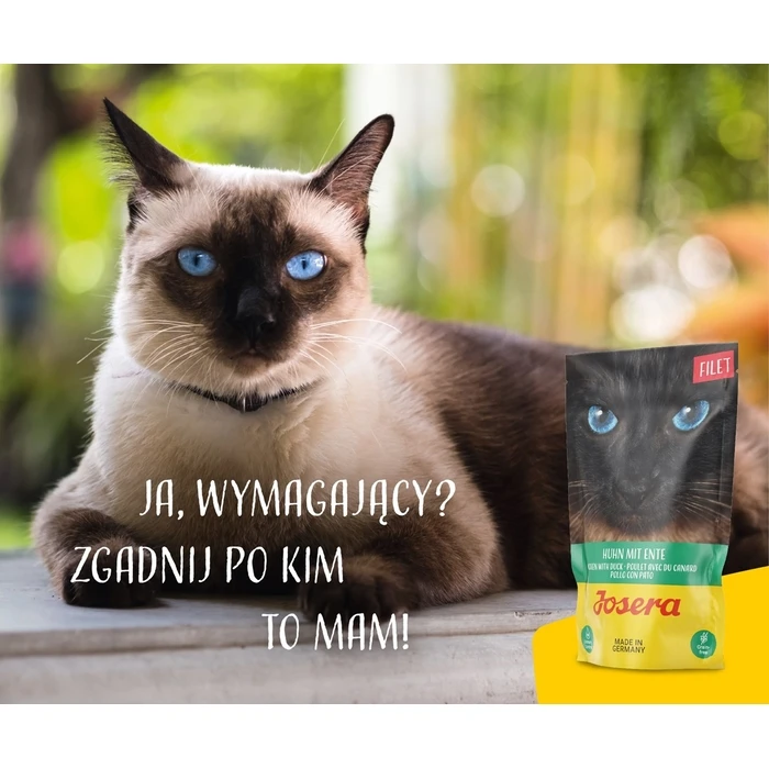 Υγρή Τροφή Γάτας Josera Fillet chicken with duck 70 g