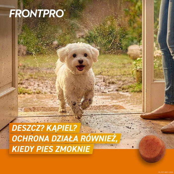 FRONTPRO Flea and tick tablets for dog (2-4 kg) - 3 x 11.3 mg