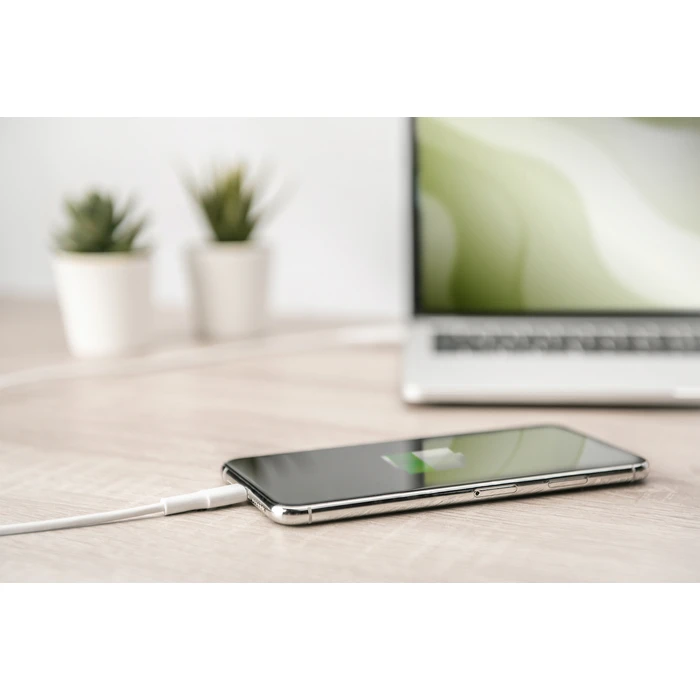 Καλώδιο USB Digitus Data USB-C Lightning MFI 1m
