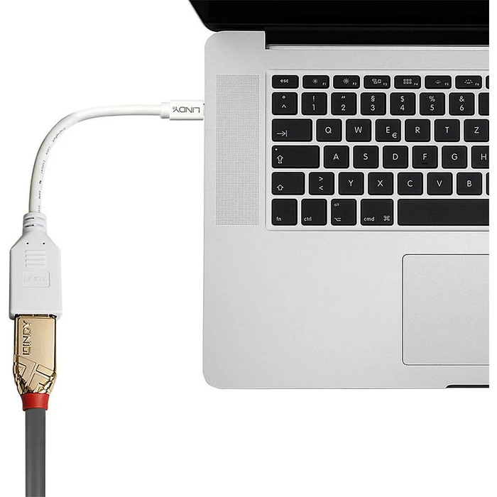 Αντάπτορας MiniDisplayport Lindy to Displayport M/F 0.15m