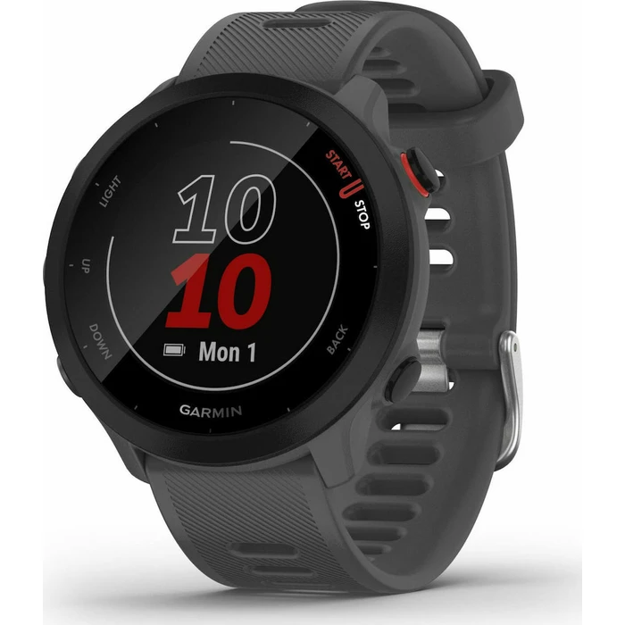 Smartwatch Garmin Forerunner 55 grey