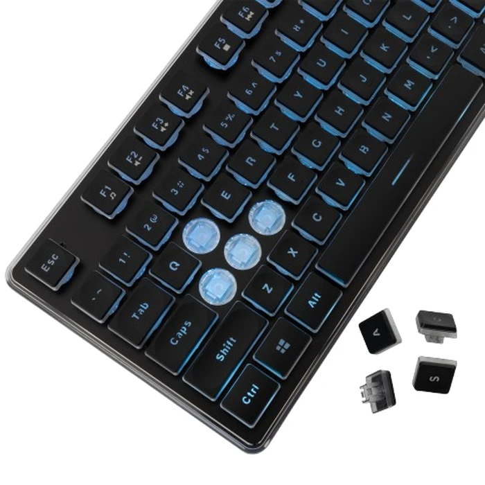 Gaming Πληκτρολόγιο White Shark Led Gk-003141 Tachi Us Layout Black