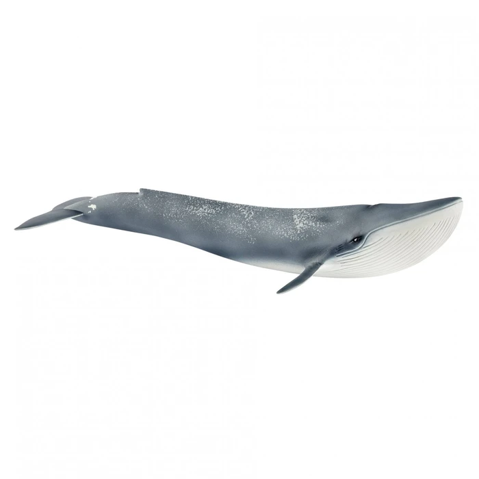 Μινιατούρα Schleich Wild Life 14806 Blue Whale
