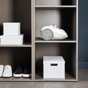 Rowenta Compact Power Parkett RO3957 - Ηλεκτρική Σκούπα (συμπαγής για παρκέ)