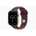 Apple Watch Series 12 GPS + Cellular 42mm Θήκη από Τιτάνιο σε χρώμα Radiant Gold με Burgundy Sport Band - M/L