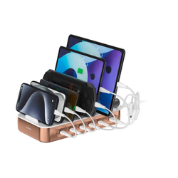 4smarts Σταθμός Φόρτισης Team 100W 5x USB-C/1x USB-A με 6 Καλώδια, Χάλκινο