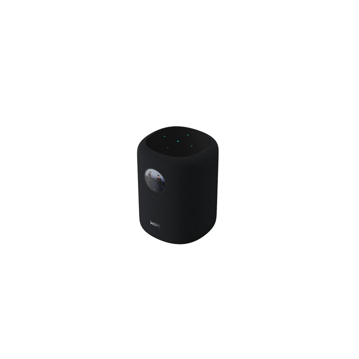 WiiM Voice Remote Control - Black (Model LPWIR, SKU 7H18-006)